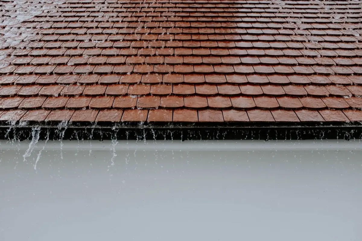 roofing project in Bellingham, WA — 4